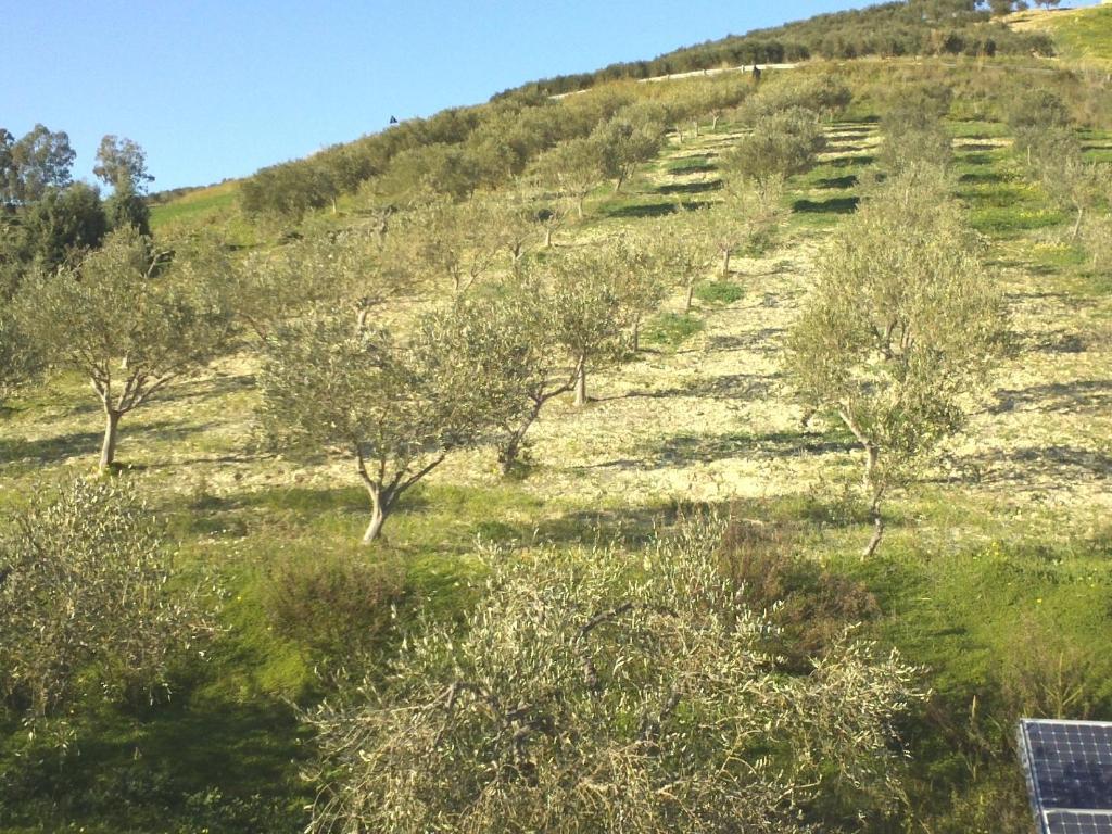 Agriturismo Due Ganee Βίλα Αγκριτζέντο Εξωτερικό φωτογραφία